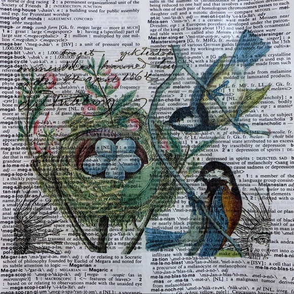 Other - Bird and Nest Dictionary Art Print, Vintage Dictionary Art Print